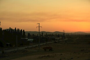 黄昏下的田野与电线杆