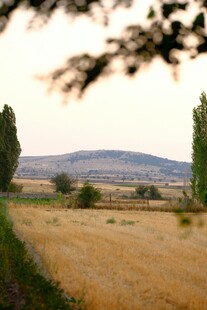 田野风光远景图