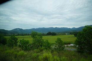 田园山野风光美景