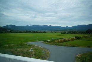 田园河畔风光