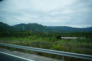 公路边的青山绿野风光