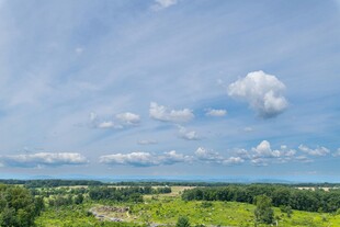 蓝天白云下的绿野风光