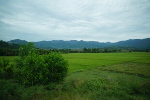 绿野青山间的田园风光