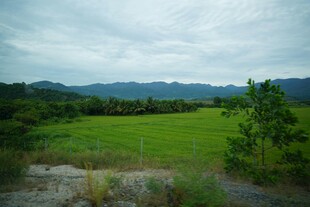 绿野青山郊外美景