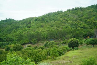 青山绿树间的自然景致