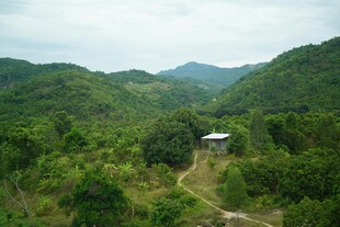 山间小屋隐于葱郁绿野