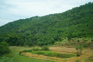 山间绿野田园风光
