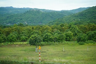 山间绿野中的徒步者