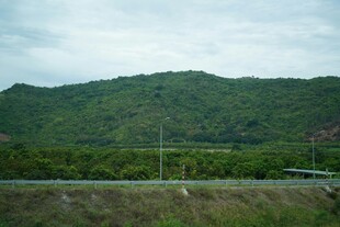 青山绿树间的开阔景致