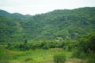 青山绿野间的自然景致