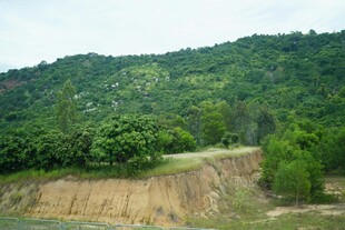 山坡植被与裸露土坡景观