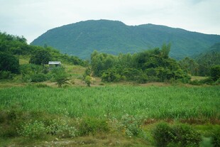 山间绿野风光