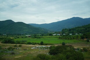 山间绿野风光
