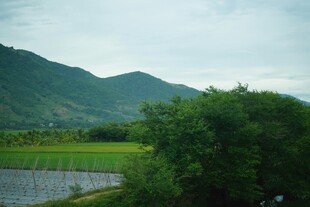 山间绿野风光