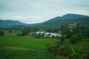 田园山村美景