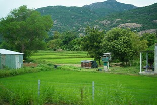 田园风光中的乡村景致