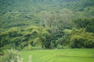 山间绿野田园风光