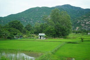 田园山水间的静谧风光