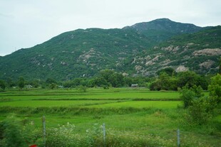 绿野青山田园风光美景