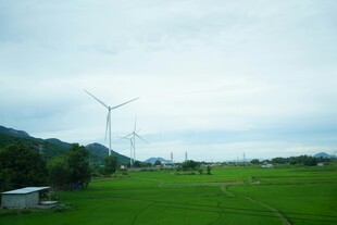 田野上的风力发电机