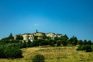 田园中的古老城堡