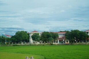 校园绿地与建筑风景
