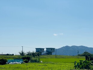 田园风光中的远处建筑与山