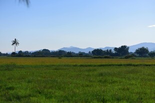 广袤绿野与远处山峦