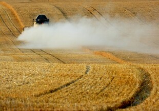麦田中农机作业扬起尘土