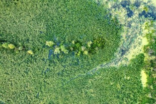 卫星视角下的绿色地貌景观