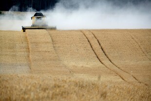 麦田里的 割机作业