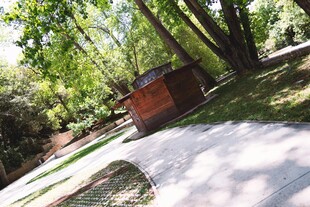 林间小屋旁的清幽小道