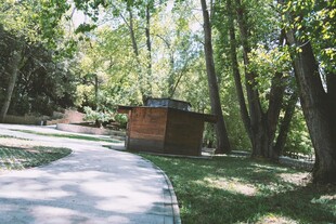 林间小屋旁的静谧小路
