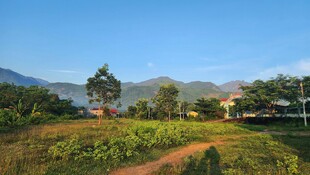 田园风光 宁静乡村景致