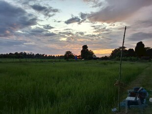 夕阳下的田园风光