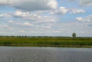 湖畔绿野蓝天风景图