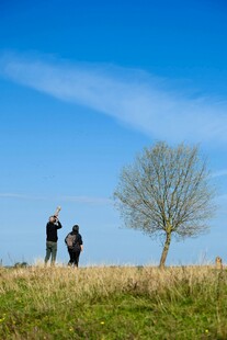 田野上的两人与孤树