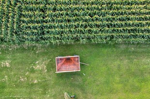 田野中的红色小屋