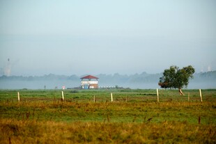 田野中的小屋与孤树