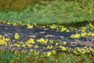 山间黄花点缀的蜿蜒小路