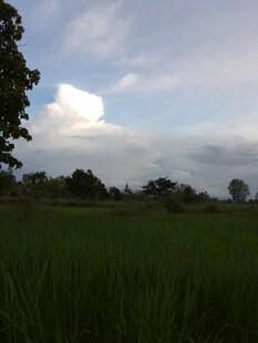 田野风光 天边白云悠悠