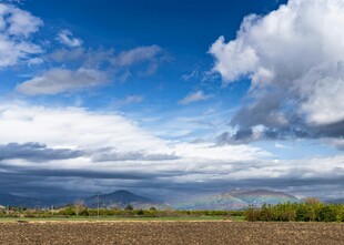 蓝天白云下的广袤原野