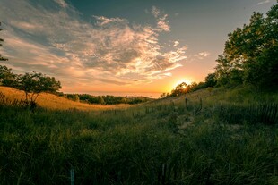 黄昏下的田野美景