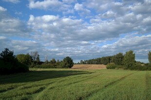 田园风光 广袤绿野与蓝天