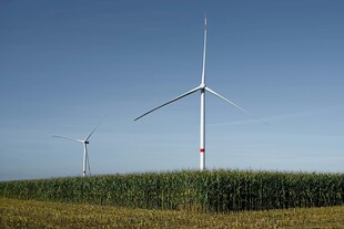 田野中的风力发电机