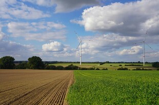 田园风光田野景色