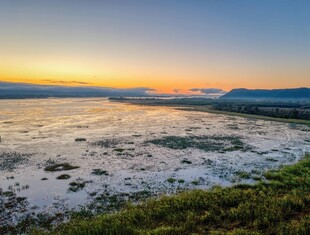 海边日出时分的美丽景致