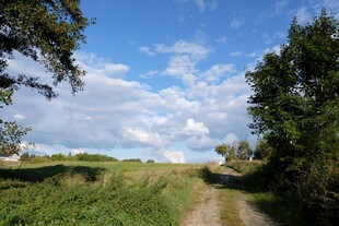 乡间小路 田园风光美景
