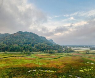 田园风光美景如画