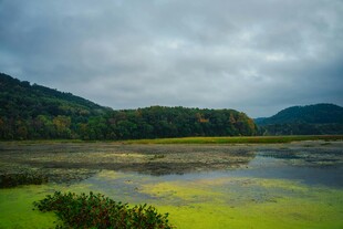 山间湿地 云雾缭绕之景